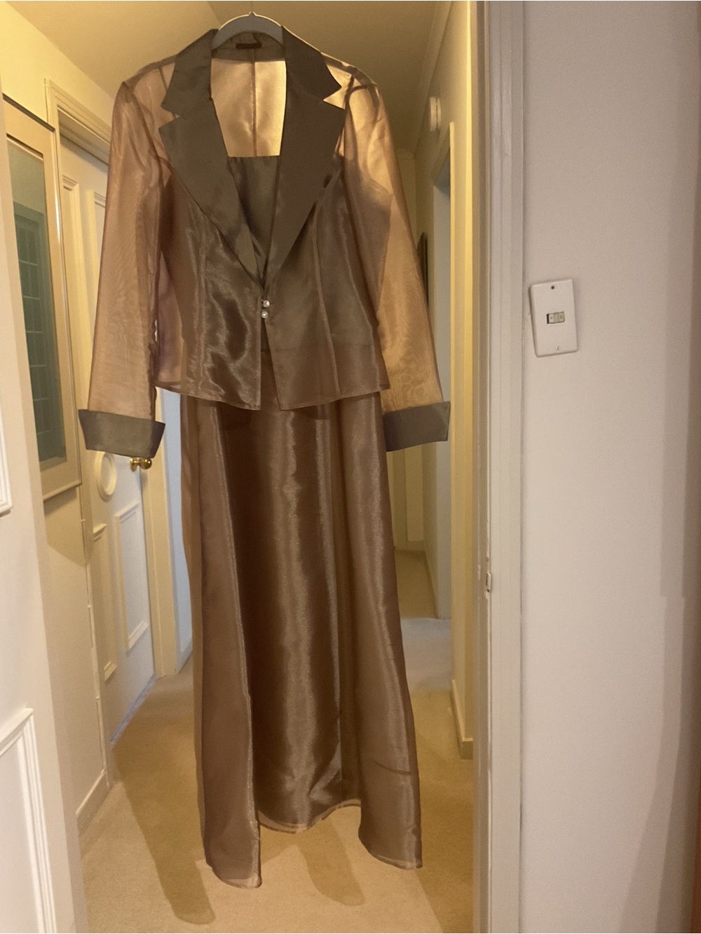 Elegant Gold Organza Jacket and dress Set